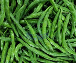 Fresh Pole Beans