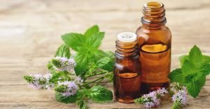 Peppermint Essential Oil