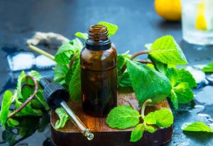 Peppermint Essential Oil
