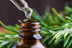 Rosemary Essential Oil