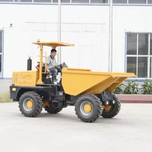 hydraulic dumper