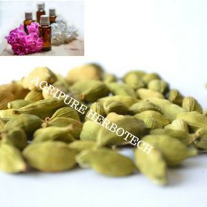 Cardamom Oil