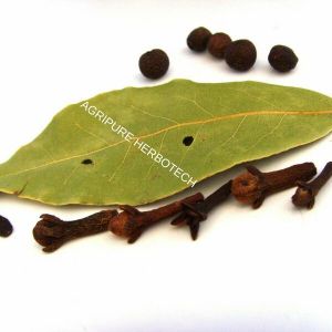 Clove Leaf Oil