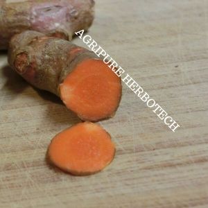 Turmeric Oleoresin