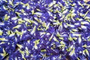 Dried Butterfly pea Flowers