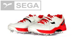 Reach Spikes Cricket Shoes