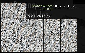 600x1200 mm Fossil Series Glossy GVT/PGVT Tiles