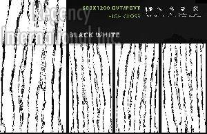 600x1200 mm High Gloss Collection GVT/PGVT Tiles