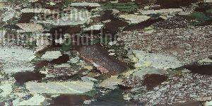 600x1200 mm Colorado Collection Glazed Porcelain Floor Tiles