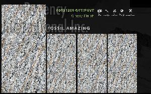 600x1200 mm Fossil Series Glossy GVT/PGVT Tiles