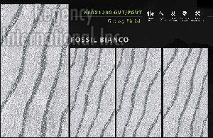 600x1200 mm Fossil Series Glossy GVT/PGVT Tiles