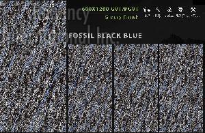600x1200 mm Fossil Series Glossy GVT/PGVT Tiles