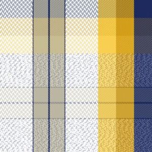 4030 cotton checks shirting fabric