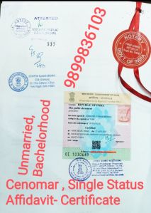 Unmarried Certificate Apostille Service