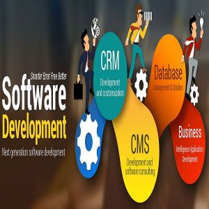 customized software solution