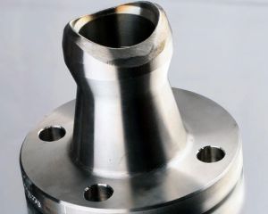 Weldo Flange