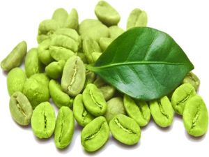 Green Coffee Extract Powder