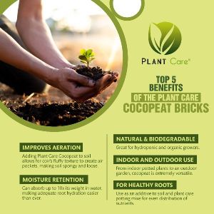 cocopeat bricks
