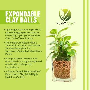 Clay Balls