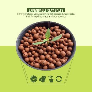 Clay Balls