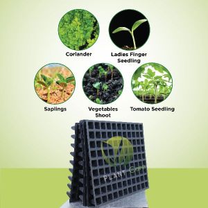 99 Cavity Seedling Tray