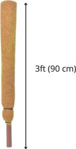 Coco Pole