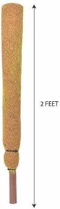 Coco Pole
