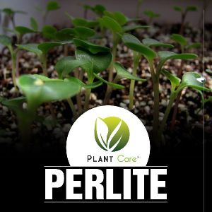 Perlite