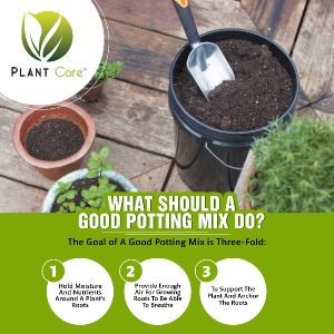 Potting Soil Mix