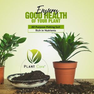 Potting Soil Mix