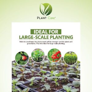 99 Cavity Seedling Tray