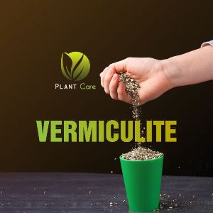 Vermiculite