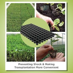 104 Cavity Seedling Tray