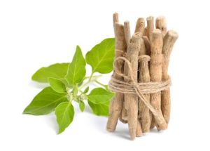 Ashwagandha Extract