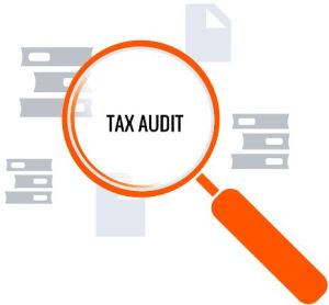 tax audit service