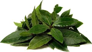 Bay Leaves