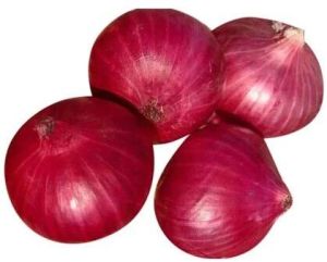 organic red onion