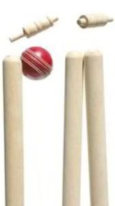 Wooden Cricket Stumps