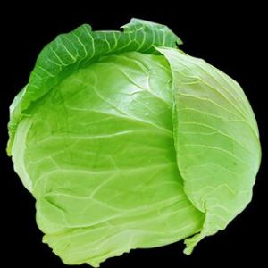 Fresh Cabbage