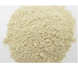 Dried Garlic Powder