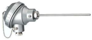 Radix RTD Thermocouple with Thermowell