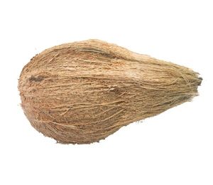 Semi Husk Coconut