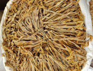 Dried Bombay Duck Fish