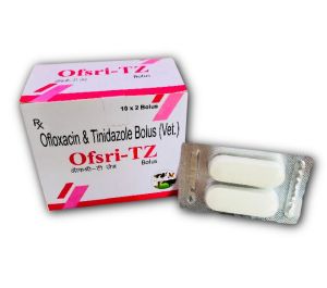 Ofloxacin Tinidazole Veterinary Bolus