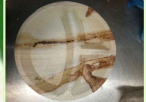 Round Areca Leaf Partition Plates