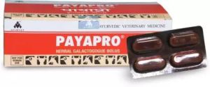 Payapro Herbal Galactogogue Bolus