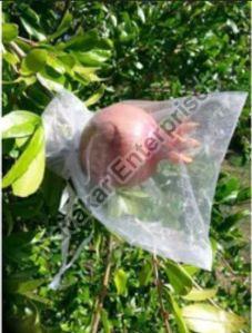 Pomegranate Fruit Cover