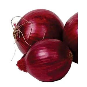 Onion Seed