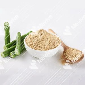 Dehydrated Drumstick Powder