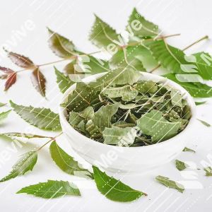 Dried Neem Leaves